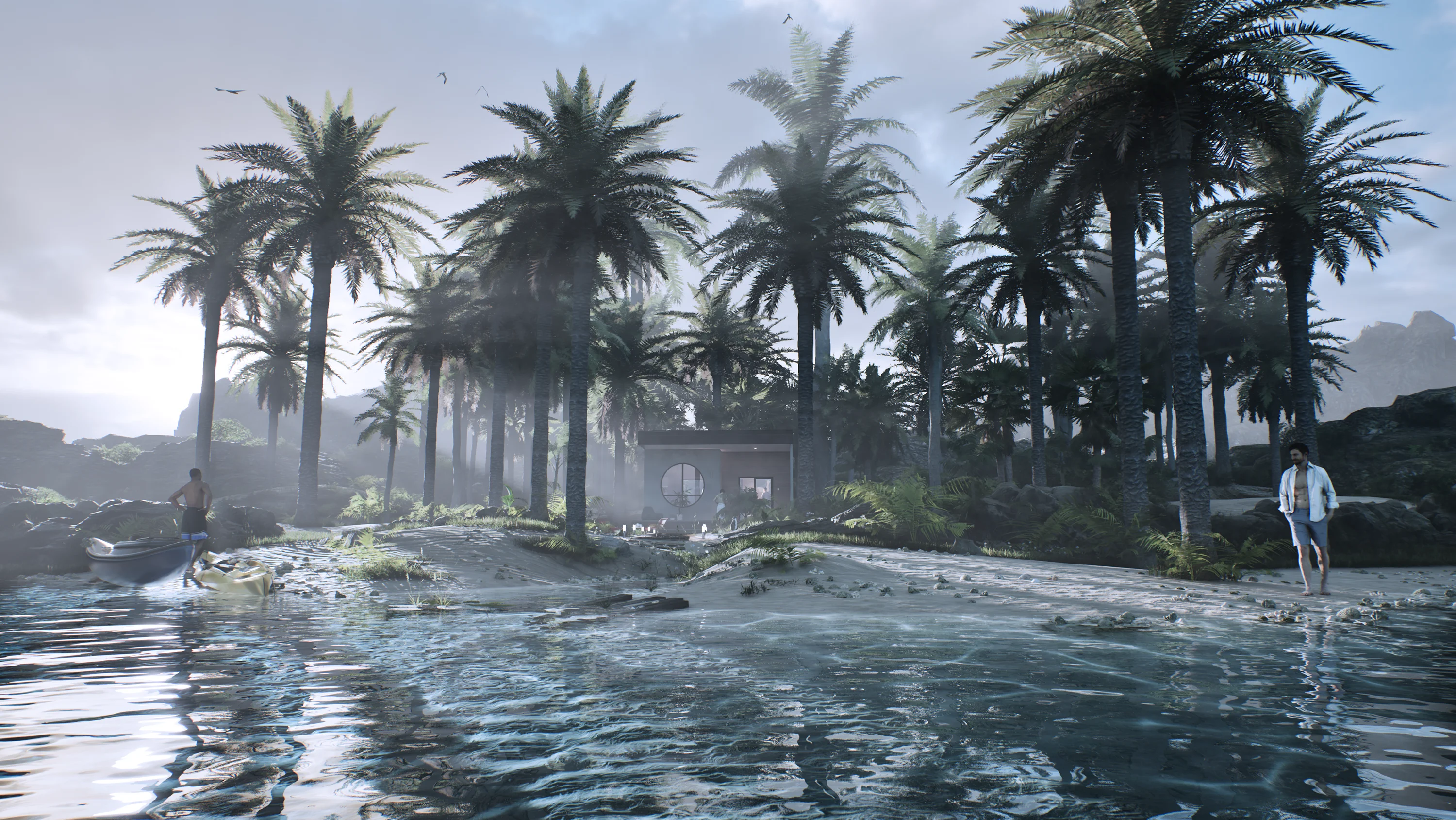 Vue large — ambiance palmiers