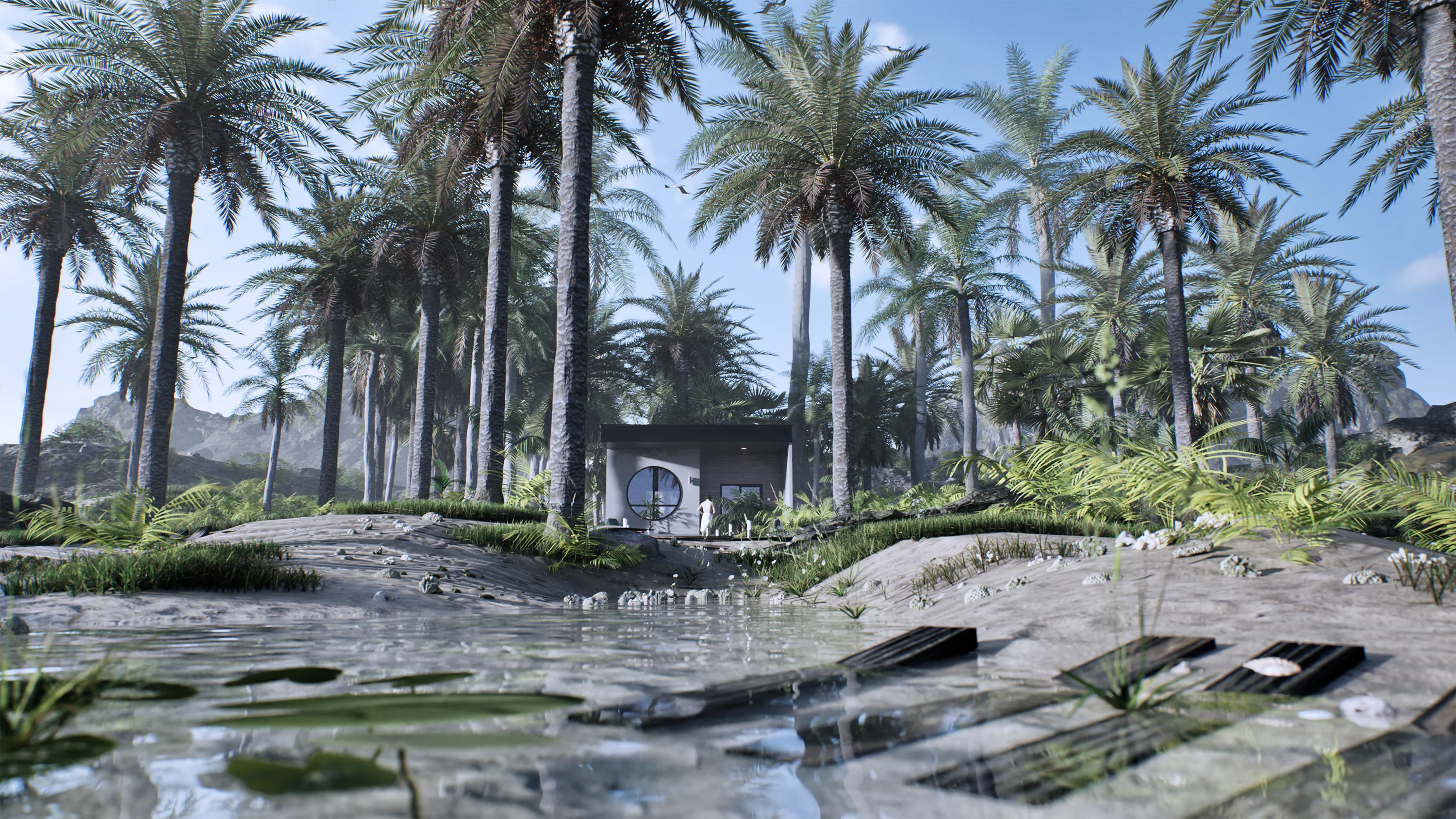 Vue large — plan d'eau